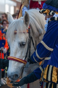 20221112-Intocht-239